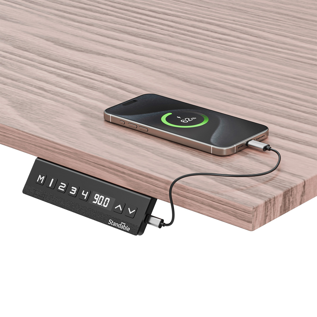 Standable-Desk-Schreibtisch-Steuereinheit-mit-USB Standable Desk Schreibtisch Steuereinheit mit USB